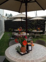 /album/jardin/img-7270-jpg/