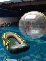 /album/alberca-techada/img-7284-jpg/