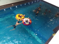 /album/alberca-techada/img-6851-jpg/